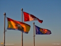 Flags 0009
