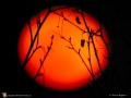 Spring Full Moon 1759