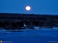 springmoon