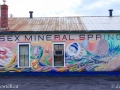 sussex_mural4