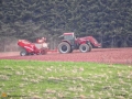 Potato Planting Tobique