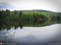Tobique River