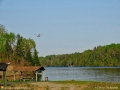 Float plane flying over the Tobique River