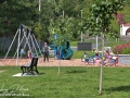 Berceau Park Saint-Basile©LDD_9513