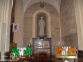 Cathedral Immaculate Conception ©SJR_9274