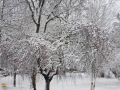 StormDec2015 206