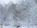 StormDec2015 207