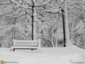 dec15storm104