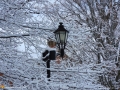 dec15storm107