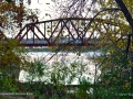 BillThorpeWalkingBridgeFall2016SJR_4368
