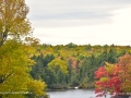 BrownLakeNBFallSJR_3874