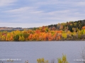 FallColoursNackawicNB2016SJR_4548