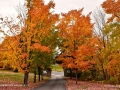 ForesthillCemeteryFall2016SJR_4570