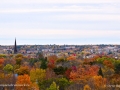 FrederictonFallFoliage2016SJR_4580