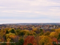 FrederictonFallFoliage2016SJR_4581