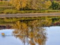 HarttIslandNBFall2016SJR_4346