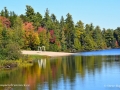 KillarneyLakeFallSJR_3907