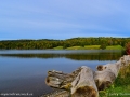 fall2016_mactaquac_LDD_1480