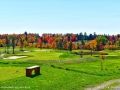 kingswood_LDD_1653
