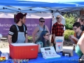 fredericton pride 2017©LDD_6258
