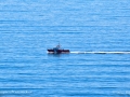 CanadainCoastGuardSJR_2430