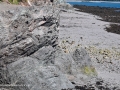 CliffsSealCoveGrandMananNBSJR_2733