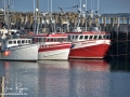 Fishing Boats Grand Manan ©SJR_8132