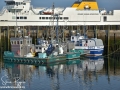 Fishing Boats Grand Manan ©SJR_8164