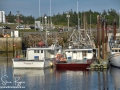 Fishing Boats Grand Manan ©SJR_8169