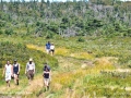HikingTheSouthernCrossSJR_2439