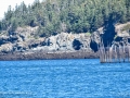 HoleInTheWallPettesCoveGrandMananNBSJR_2967