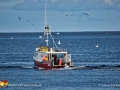 Lobster Fisherman Pettes Cove©LDD_4548