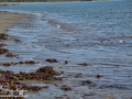 Long Point Beach Grand Manan ©SJR_8094
