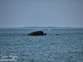 Long Point Beach Grand Manan ©SJR_8095