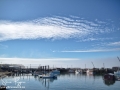 North Head Wharf ©SJR_8032