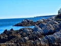 WhaleCoveGrandMananNBSJR_2919