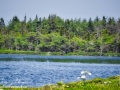 long point marsh©LDD_8942