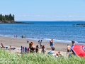 seal cove beach©LDD_8758
