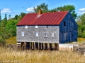 seal_cove_smoked_herring_fishery_LDD_1167_HDR
