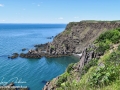 southern head©LDD_8739