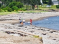 stanley's beach©LDD_8926