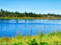 the_anchorage_marsh_LDD_1035_HDR