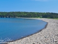whale cove©LDD_8896
