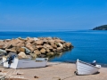 whale cove©LDD_8901