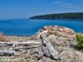 whale cove©LDD_8907