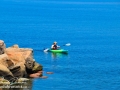 whale cove kayaker©LDD_8903