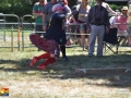 NB Highland Games 2017 ©SJR_2267