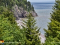 Sentier Fundy Trail Beach©LDD_4793