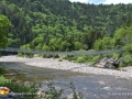 Sentier Fundy Trail Suspension Bridge©LDD_4799