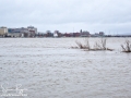 Spring Freshet 2018 Fredericton NB ©SJR_6454